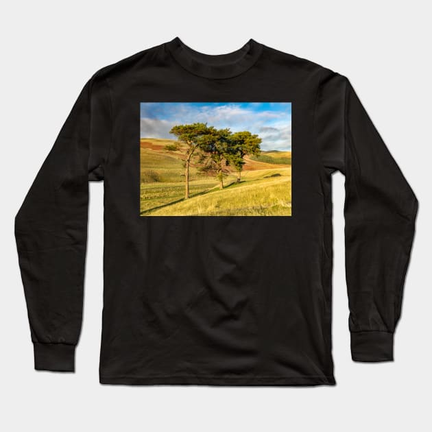 Power of Three Long Sleeve T-Shirt by Reg-K-Atkinson